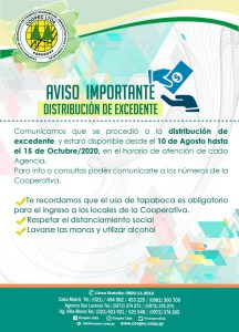 EXCEDENTES EJERCICIO 2019