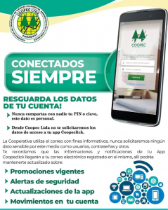 Consejos de Seguridad