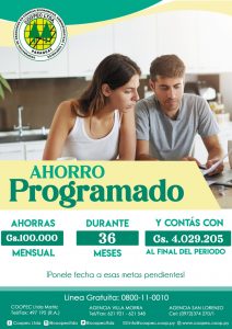 AHORRO PROGRAMADO 100.00