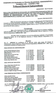 Resolución TEI Nº 06/2024