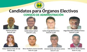Candidaturas para Elecciones 2025