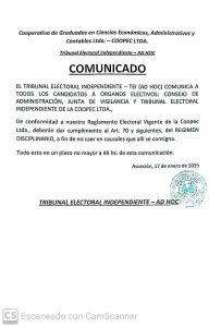 Comunicado TEI AD HOC Nº 01/2025
