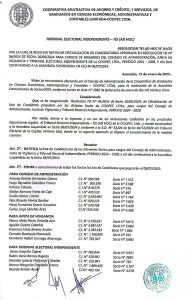 Resolución TEI AD HOC Nº 04/2025 – Oficialización de Candidaturas