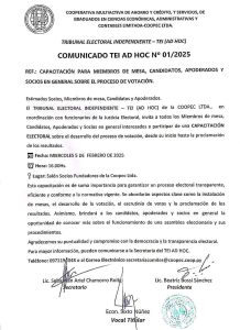 COMUNICADO TEI AD HOC Nº 1/2025, Invitación Capacitación Electoral