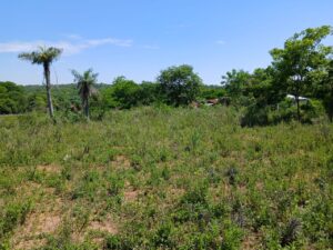 04e5a2b6-1913-40d1-af7c-4a9e51d61bad