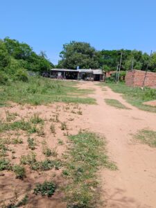 11167fe6-536e-4cc1-8f69-d552f082ceec