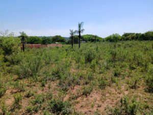 56fbf81c-f6bd-4eb1-a0f2-cbd4824dd075