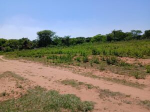 895425fd-88ff-46bf-9496-e9c365cf709a