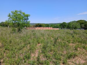 937f8911-7f4a-48af-99f7-c289a0feb1ef