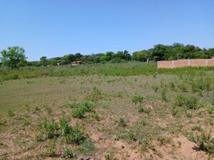 b5a8a6a3-0955-4105-81bd-68851170daaf