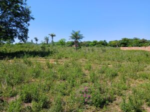 f837cb54-56d7-4f2c-a70c-19e7465988e6