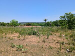 fef750cd-7977-49c0-b542-4f0cc4341ab8