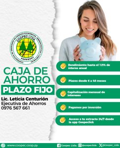 Plazo-fijo-1