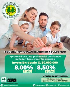 Plazo-fijo-2